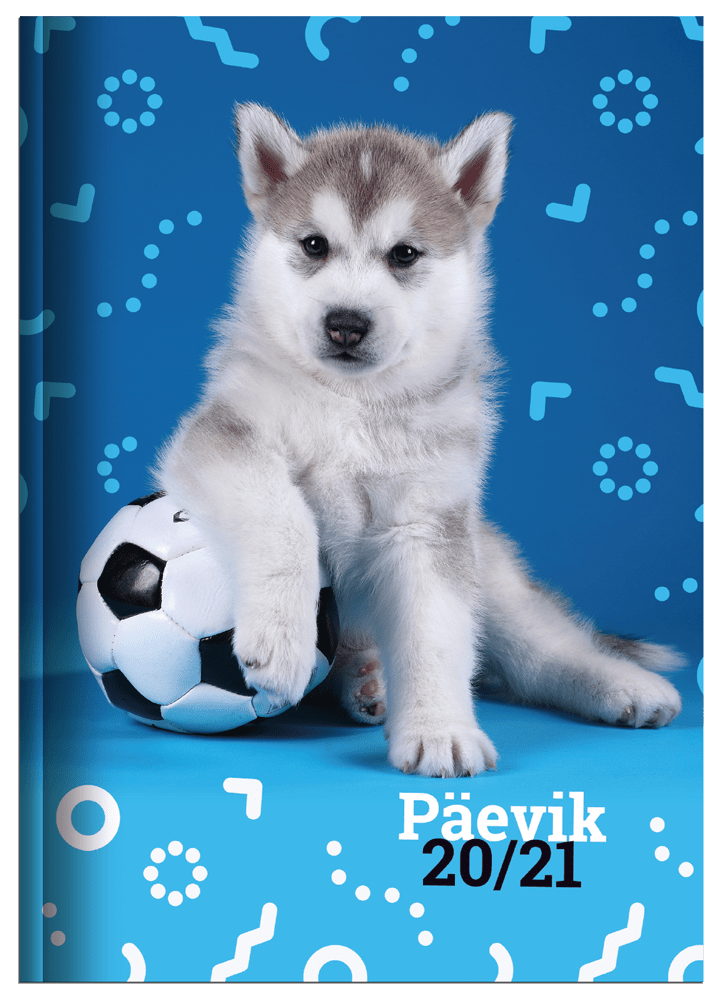 paevik-pall_1